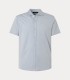 Polo camisa